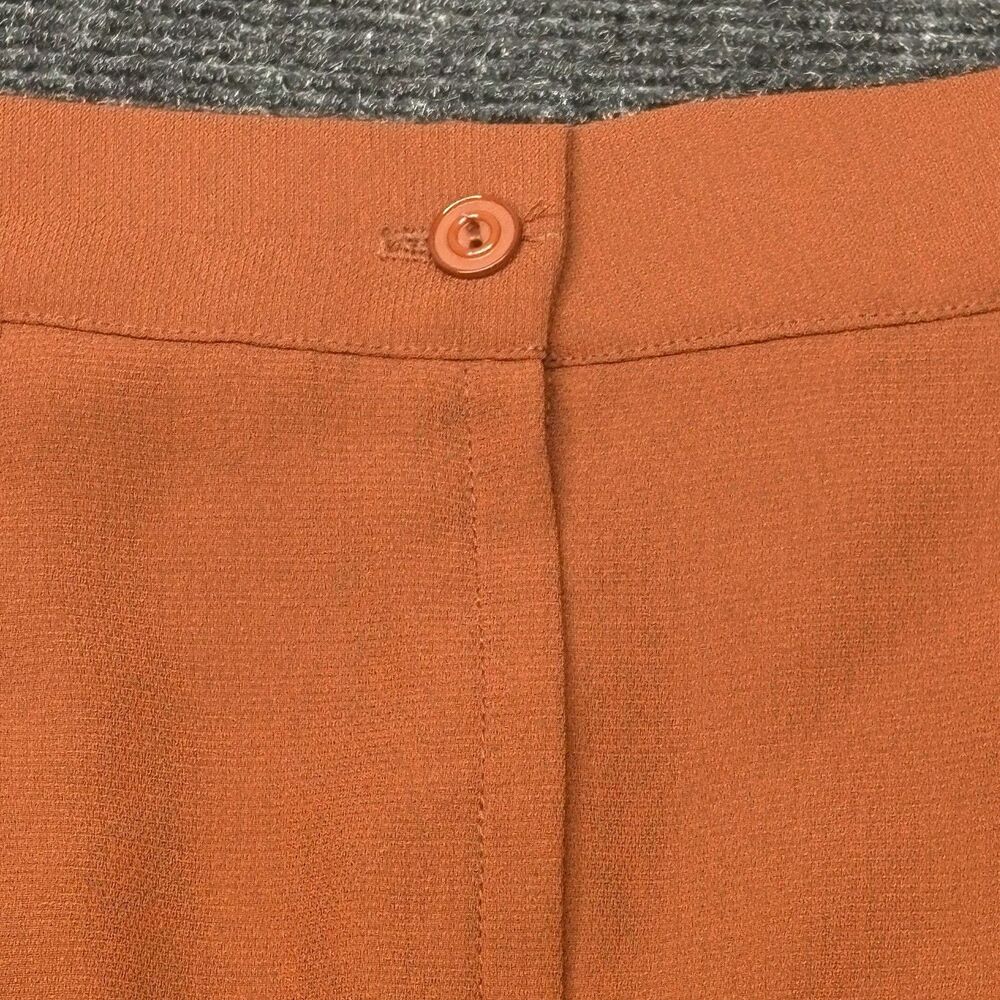 Ellen Figg Woman Skirt Plus Size 22W Burnt Orange Terracotta Straight Midi - Picture 7 of 9